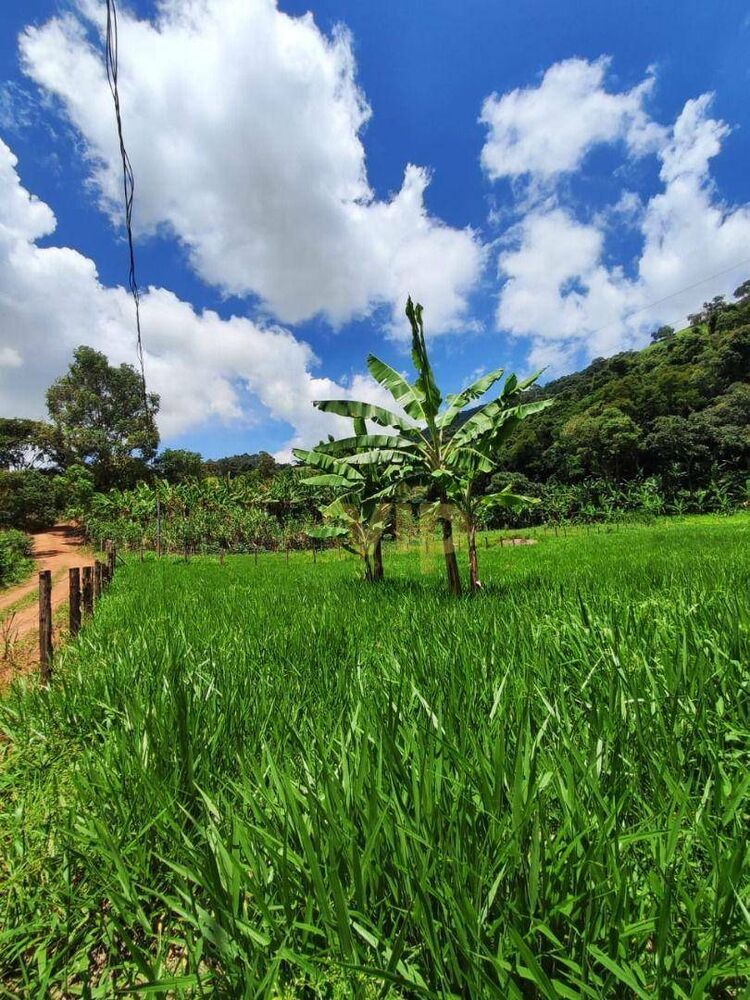 Chácara, 3600 m² - Foto 2