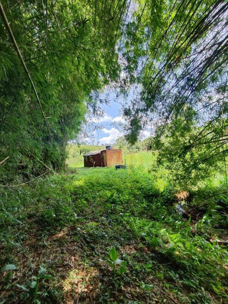 Chácara, 3600 m² - Foto 4