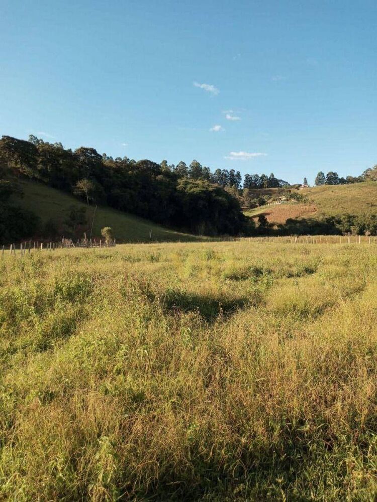 Terreno, 2 hectares - Foto 4