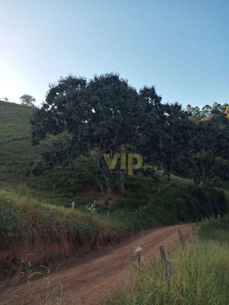 Terreno, 2 hectares - Foto 1