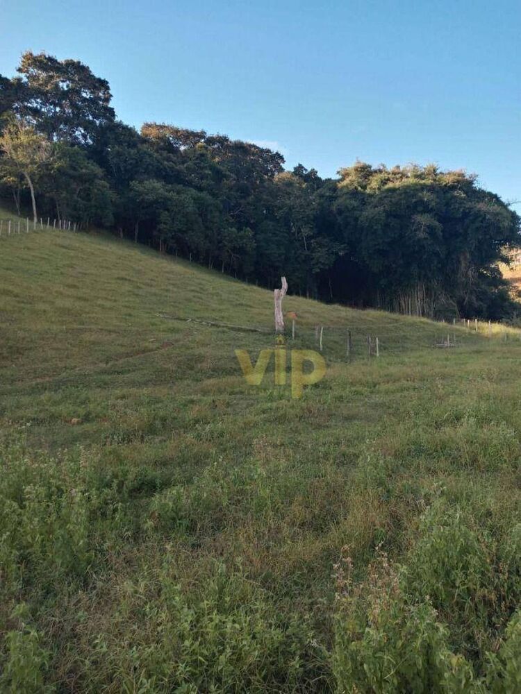 Terreno, 2 hectares - Foto 3