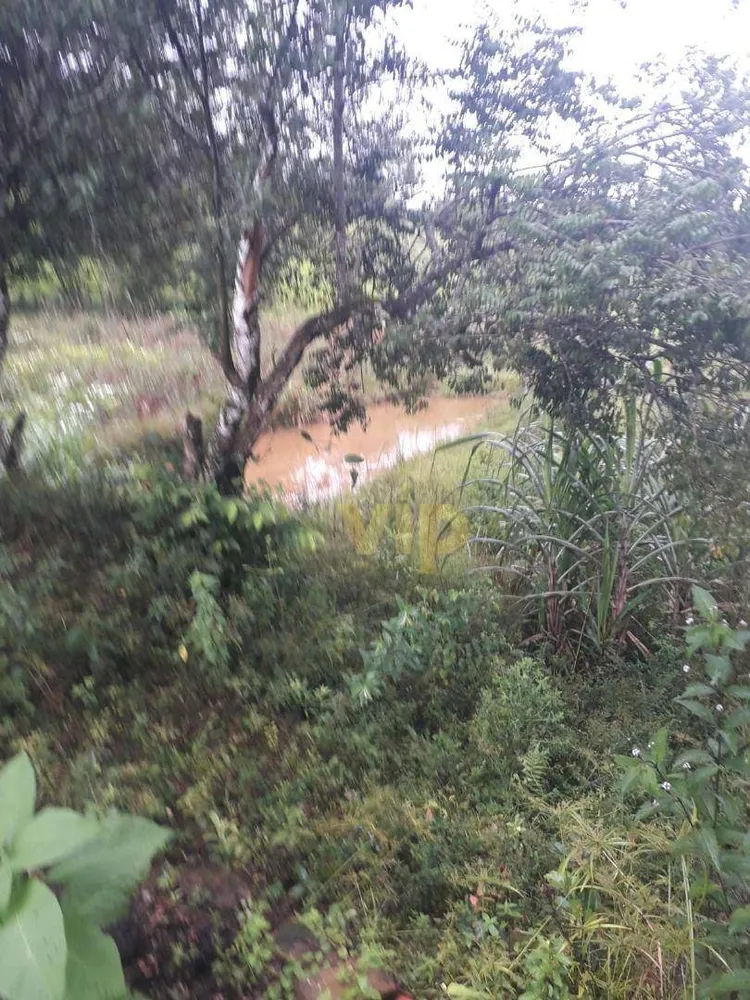 Chácara, 3 quartos, 2 hectares - Foto 1