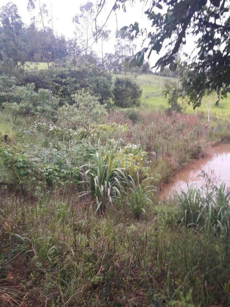 Chácara, 3 quartos, 2 hectares - Foto 2