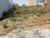 Terreno, 200 m² - Foto 1