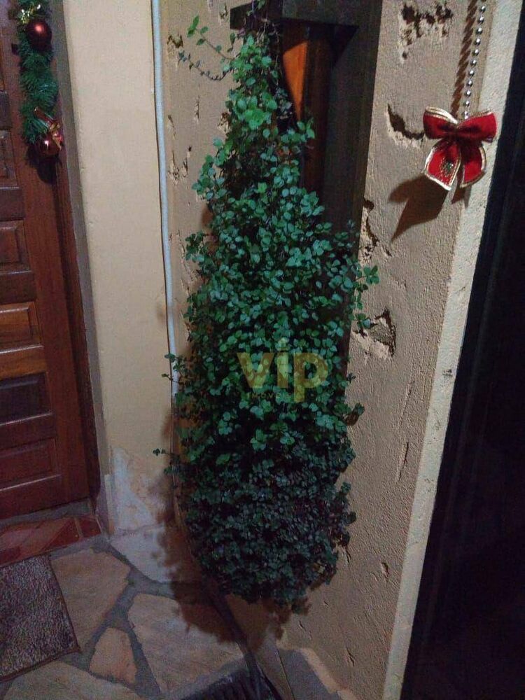 Casa, 3 quartos, 130 m² - Foto 1