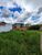 Terreno, 250 m² - Foto 2