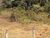 Terreno, 1100 m² - Foto 3