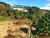 Terreno, 1100 m² - Foto 1