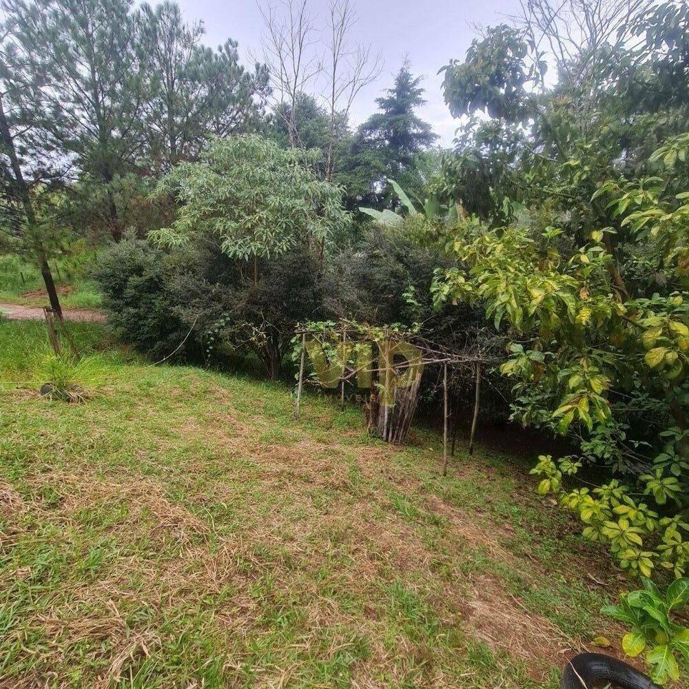 Sítio, 2869 m² - Foto 3