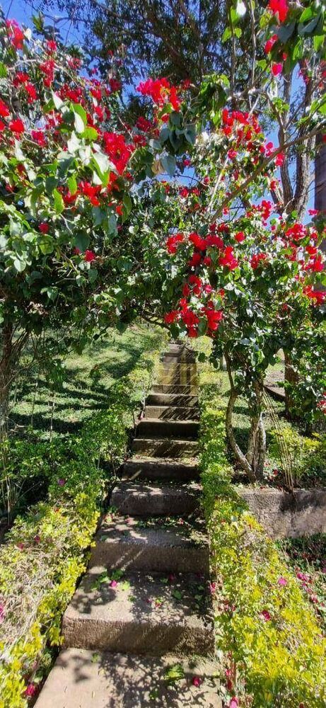 Chácara, 3 quartos, 2500 m² - Foto 4