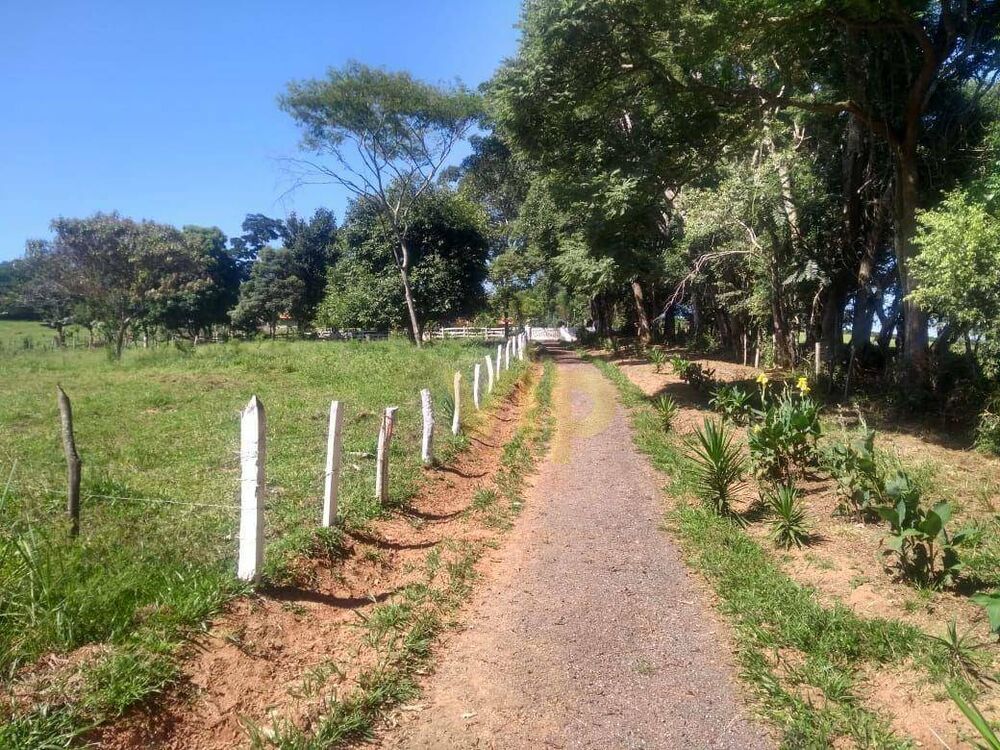 Chácara, 4 quartos, 8146 m² - Foto 5