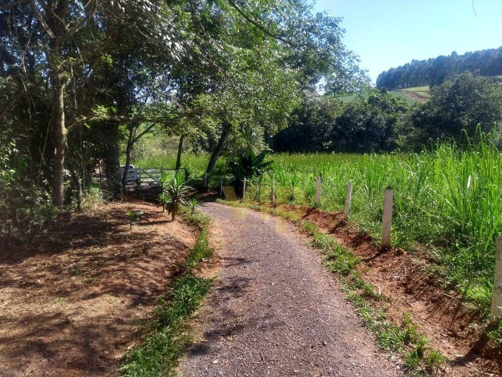 Chácara, 4 quartos, 8146 m² - Foto 17