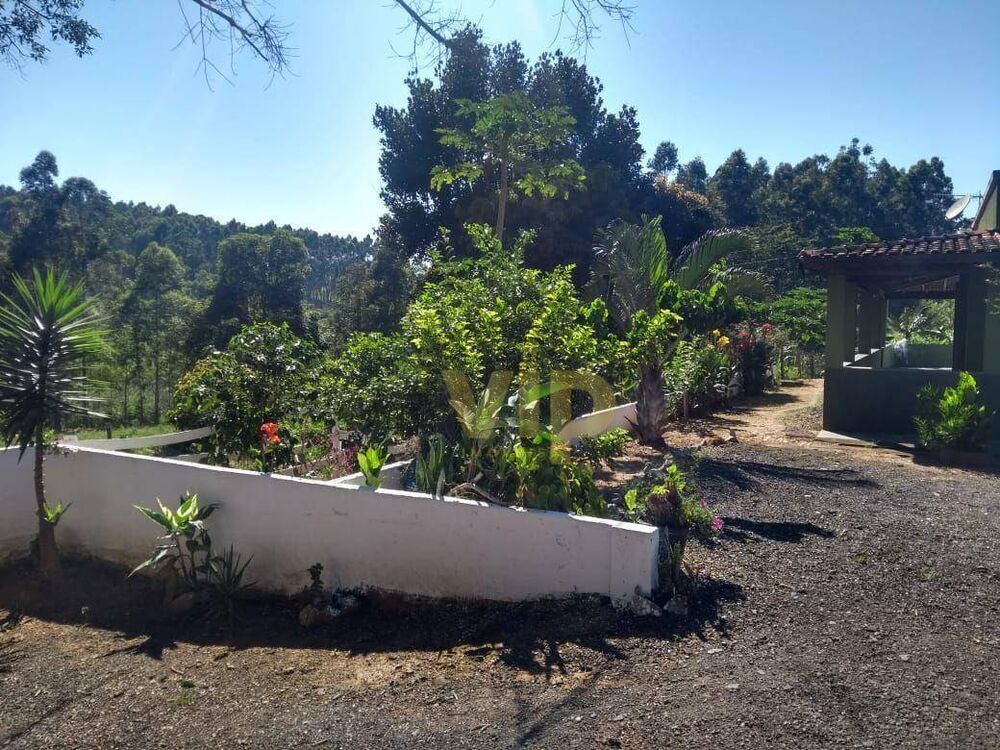 Chácara, 4 quartos, 8146 m² - Foto 4