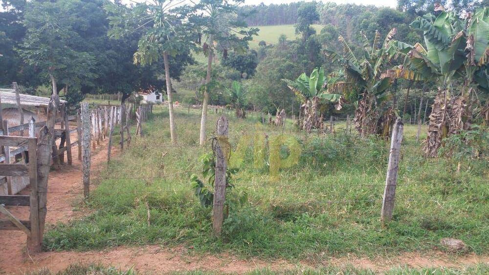 Chácara, 4 quartos, 8146 m² - Foto 18