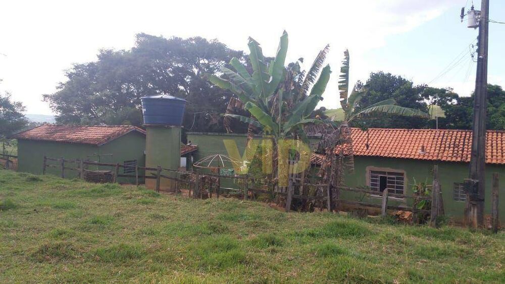 Chácara, 4 quartos, 8146 m² - Foto 9