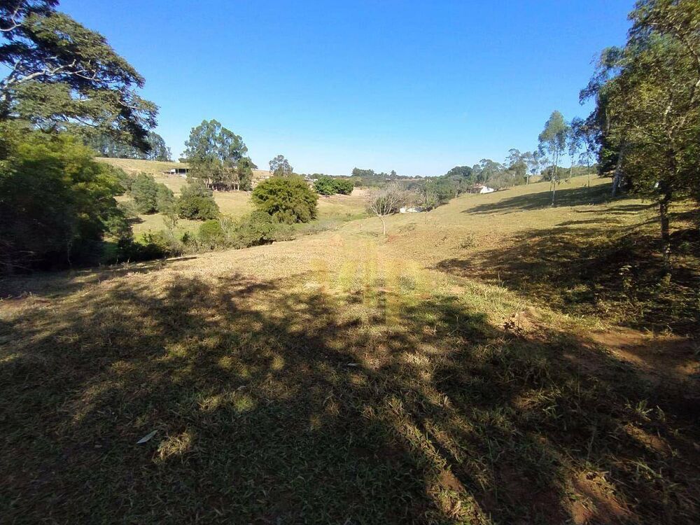 Sítio, 5 quartos, 4 hectares - Foto 3