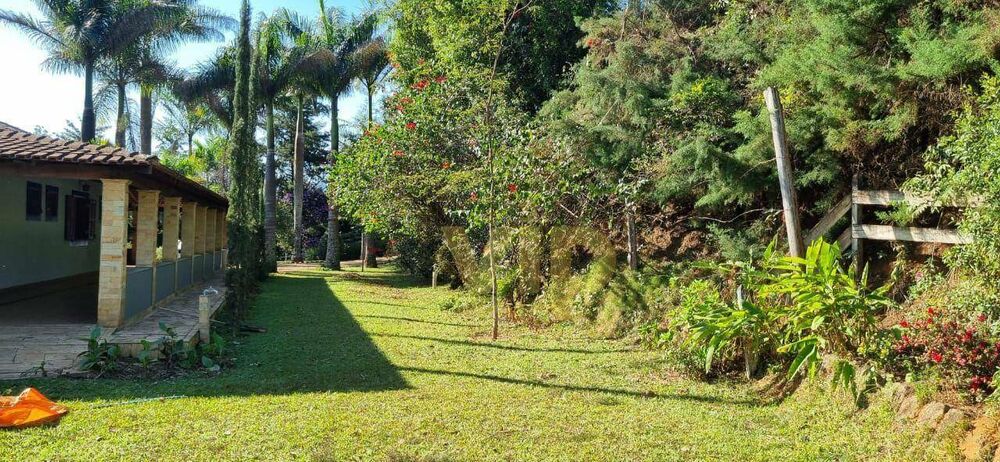 Sítio, 3 quartos, 2 hectares - Foto 3