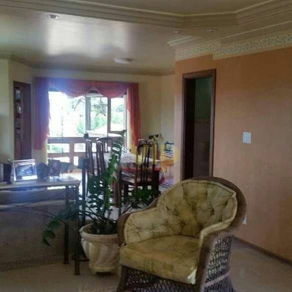 Casa, 3 quartos, 238 m² - Foto 4