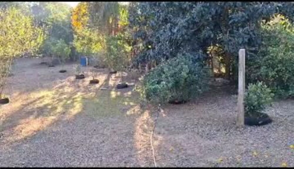 Chácara à venda, 800M2 - Foto 3