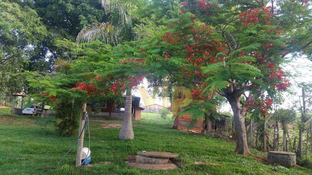 Chácara à venda com 2 quartos, 3000M2 - Foto 6