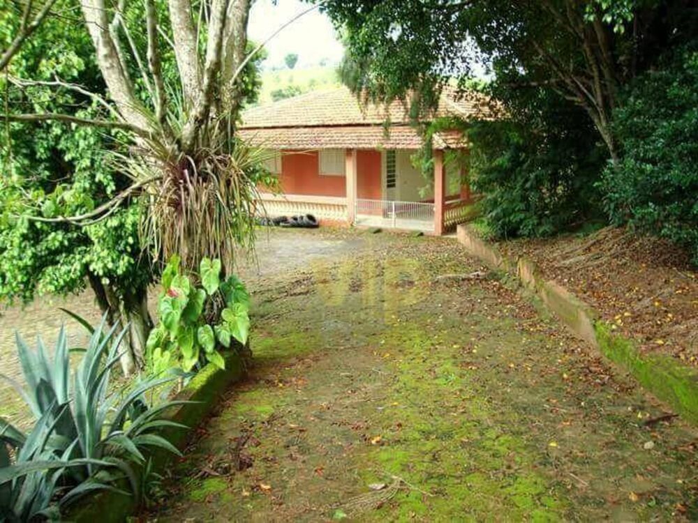 Sítio, 5 quartos, 6000 m² - Foto 1