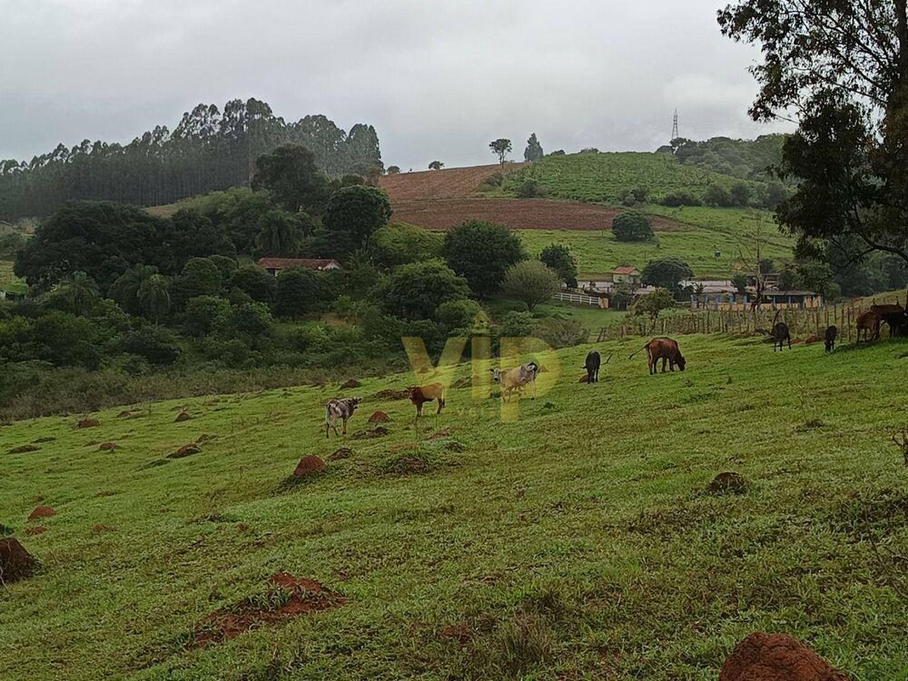 Terreno, 15 hectares - Foto 2