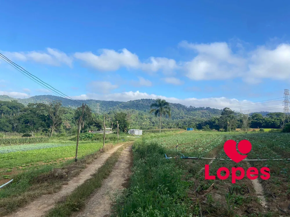 Terreno, 19 hectares - Foto 12