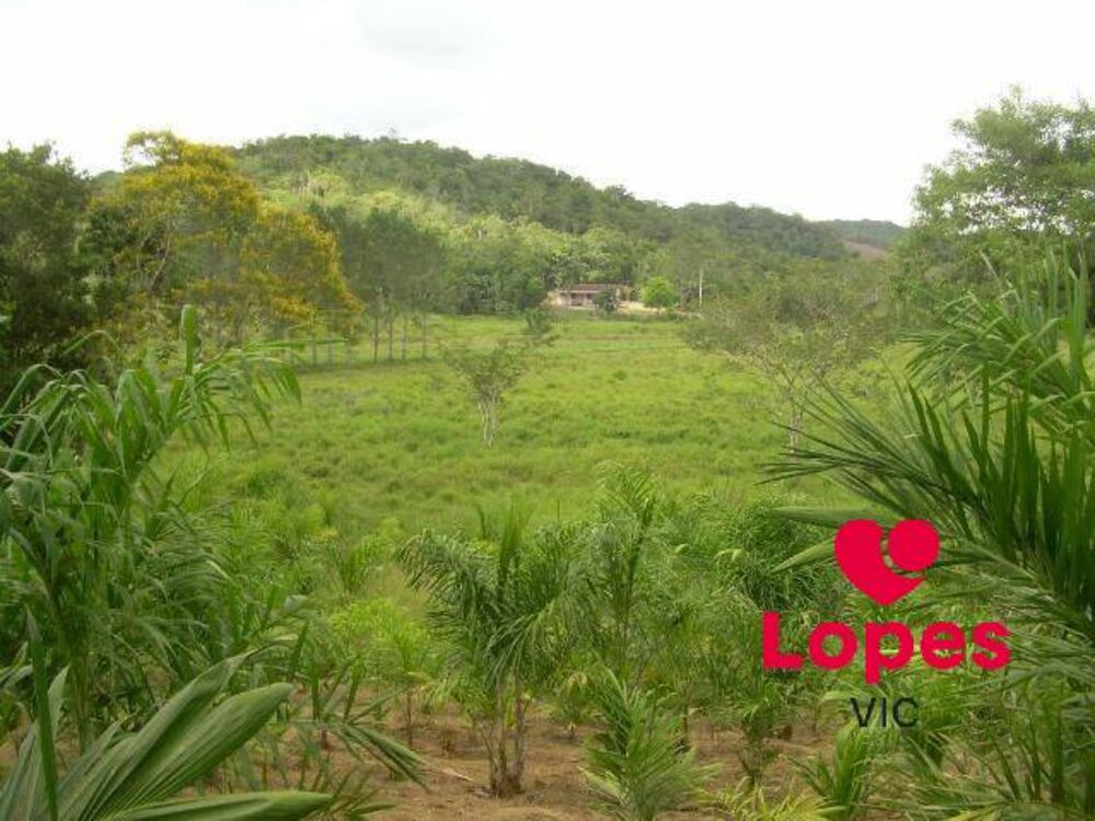 Terreno, 19 hectares - Foto 2