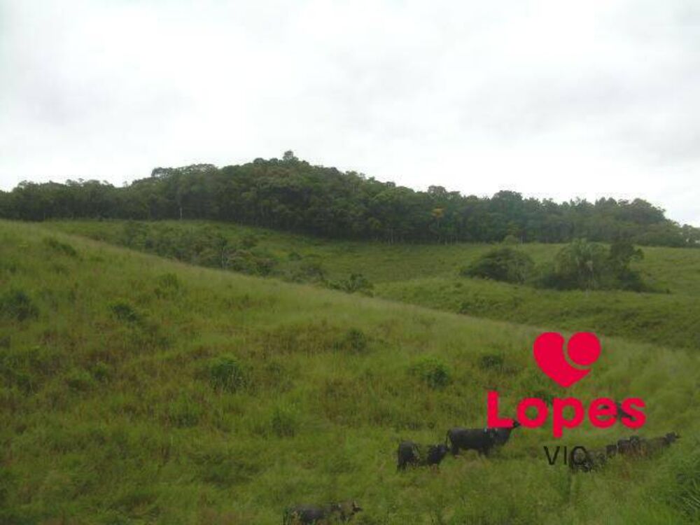 Terreno, 19 hectares - Foto 3