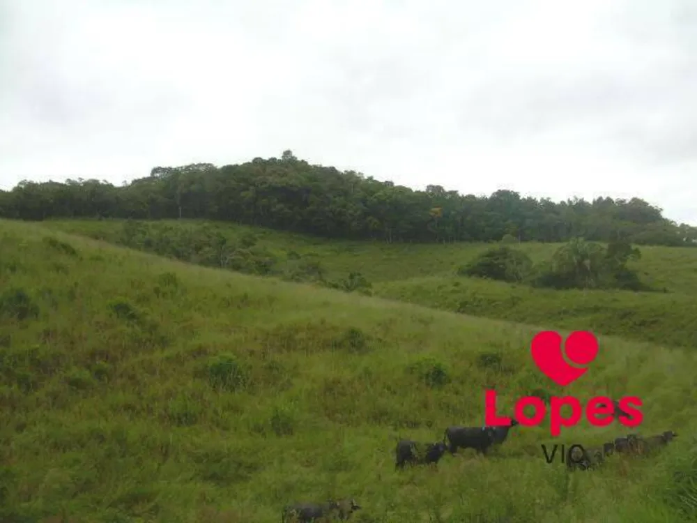 Terreno, 19 hectares - Foto 7