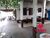 Chácara, 4 quartos, 2141 m² - Foto 11