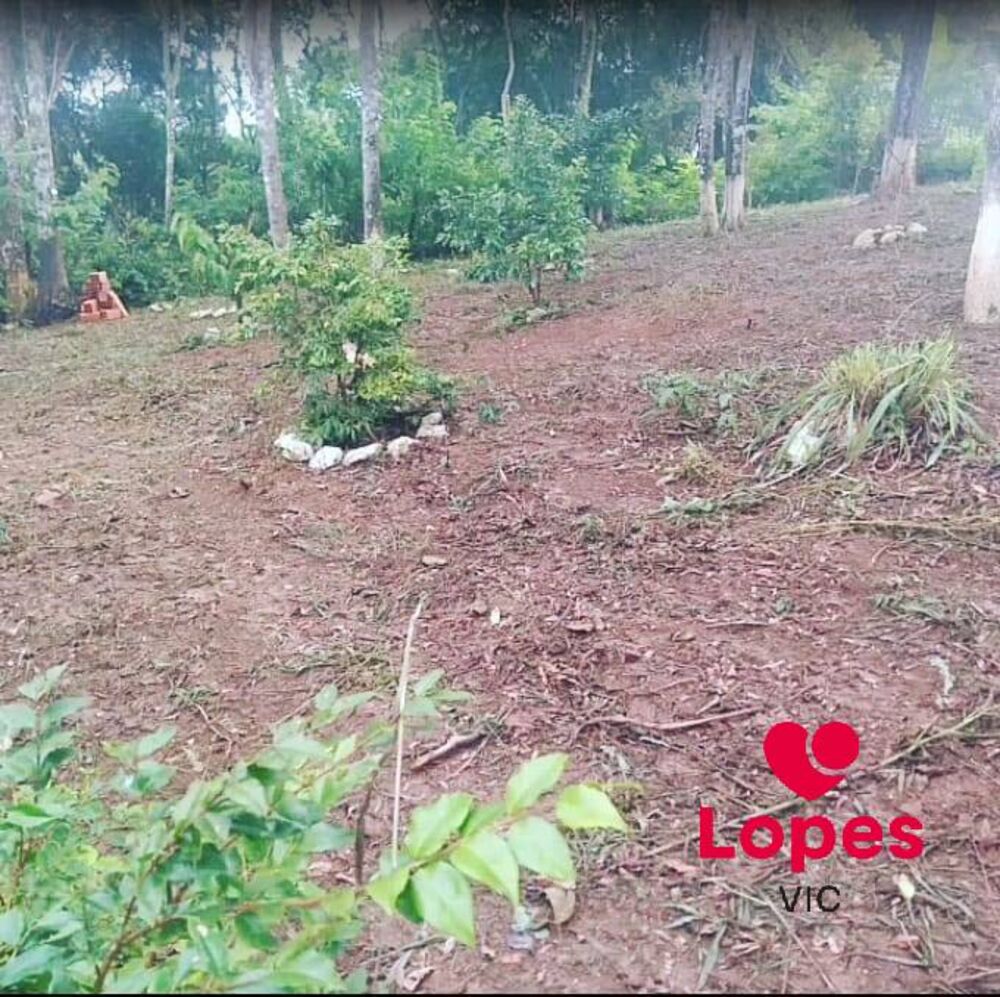 Terreno, 1200 m² - Foto 3