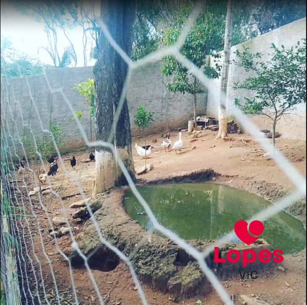 Terreno, 1200 m² - Foto 2