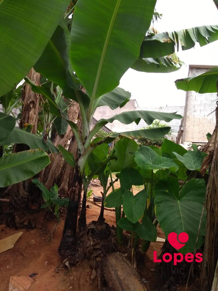 Terreno, 150 m² - Foto 2