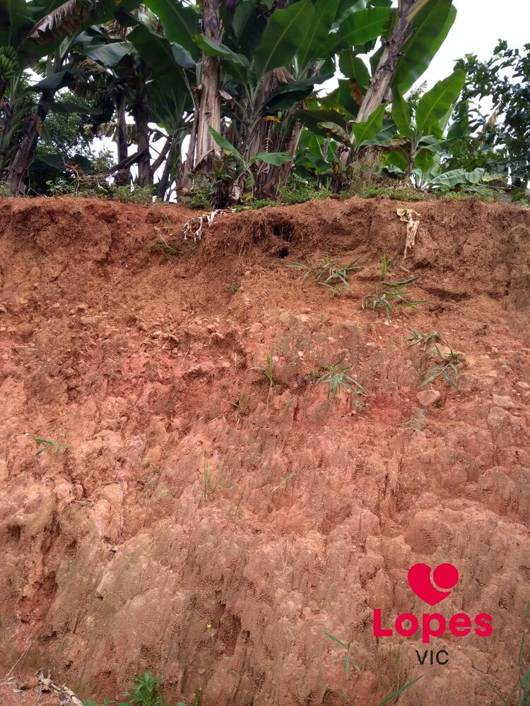 Terreno, 150 m² - Foto 1