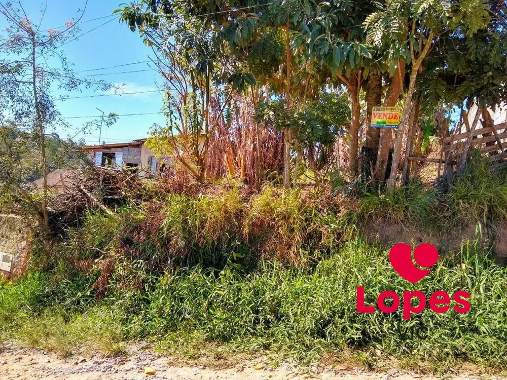 Terreno - Foto 5