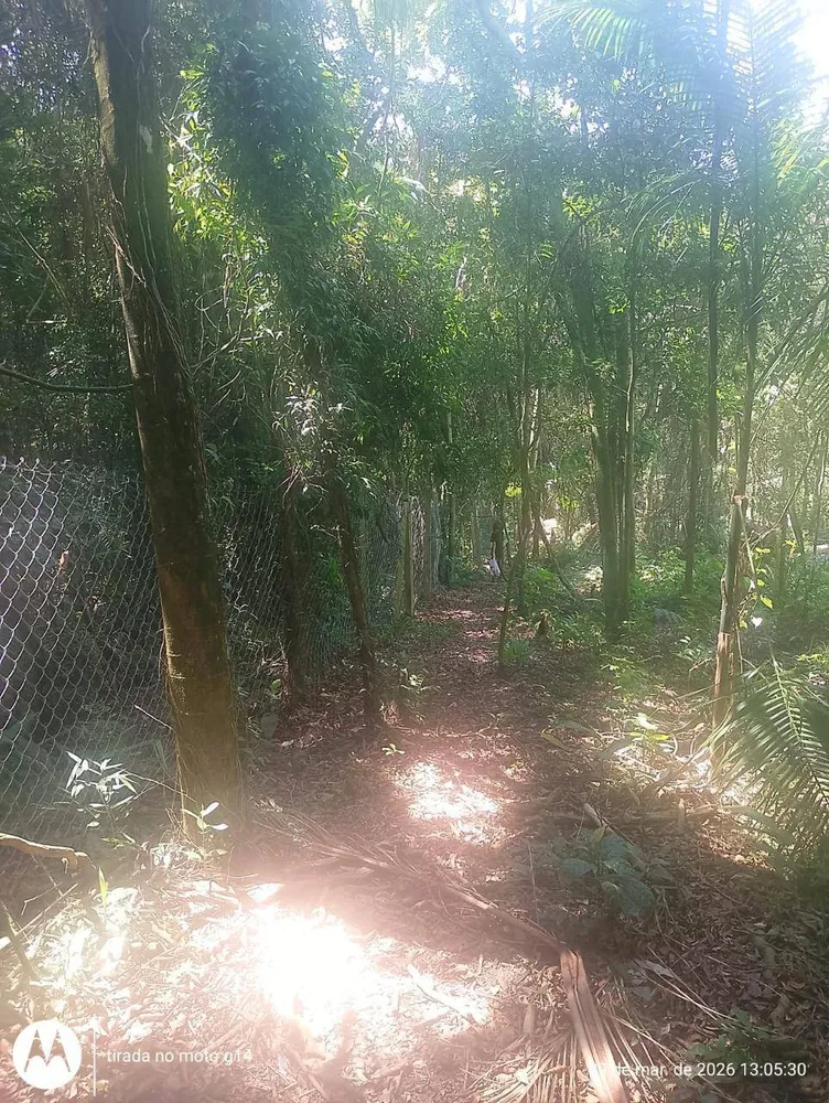 Terreno, 5000 m² - Foto 5