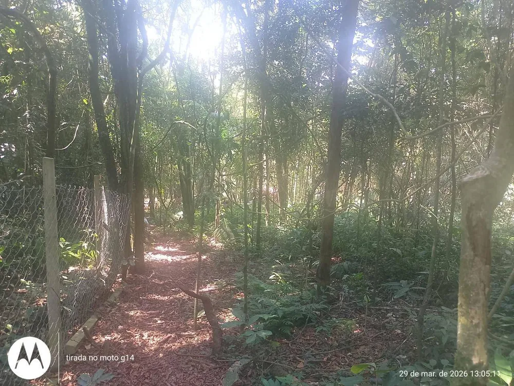 Terreno, 5000 m² - Foto 8