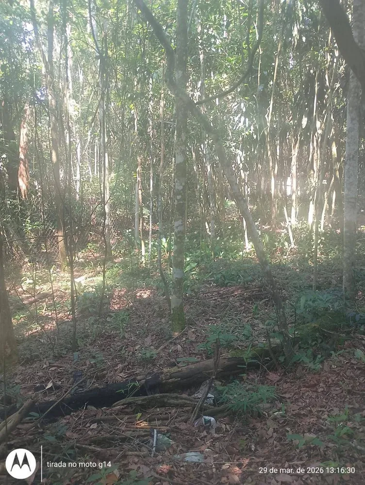 Terreno, 5000 m² - Foto 4