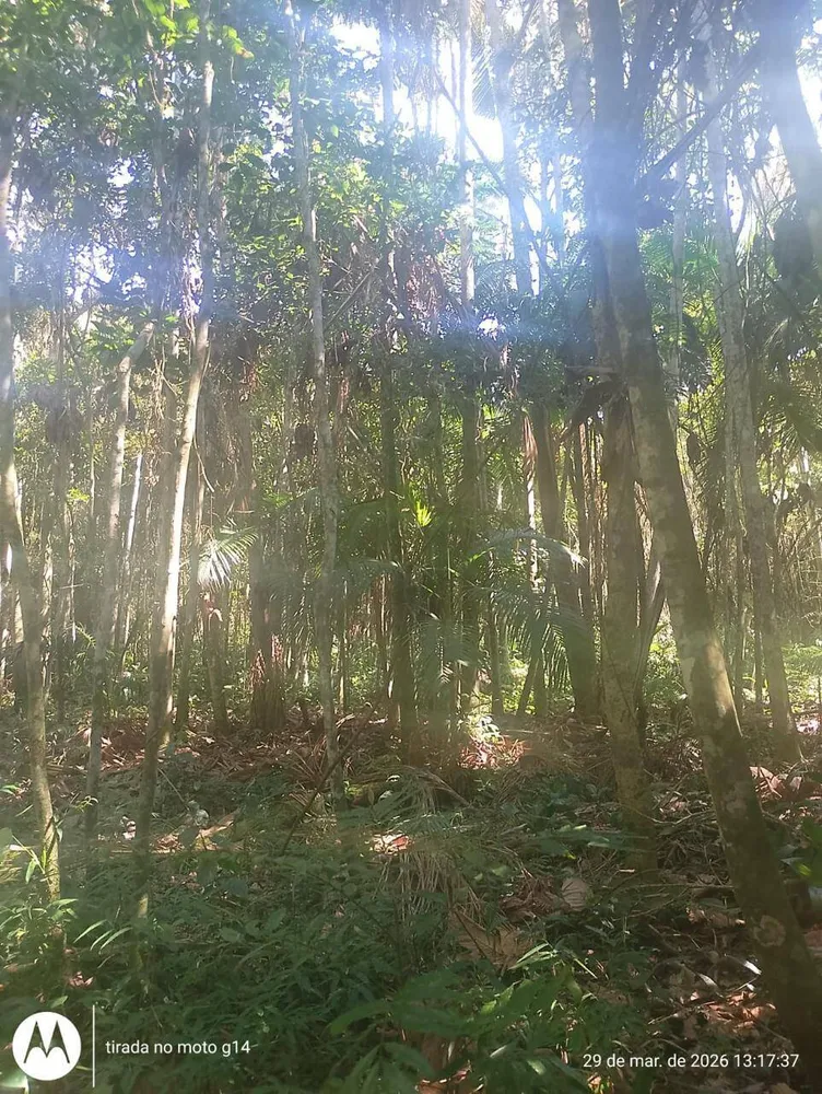 Terreno, 5000 m² - Foto 3