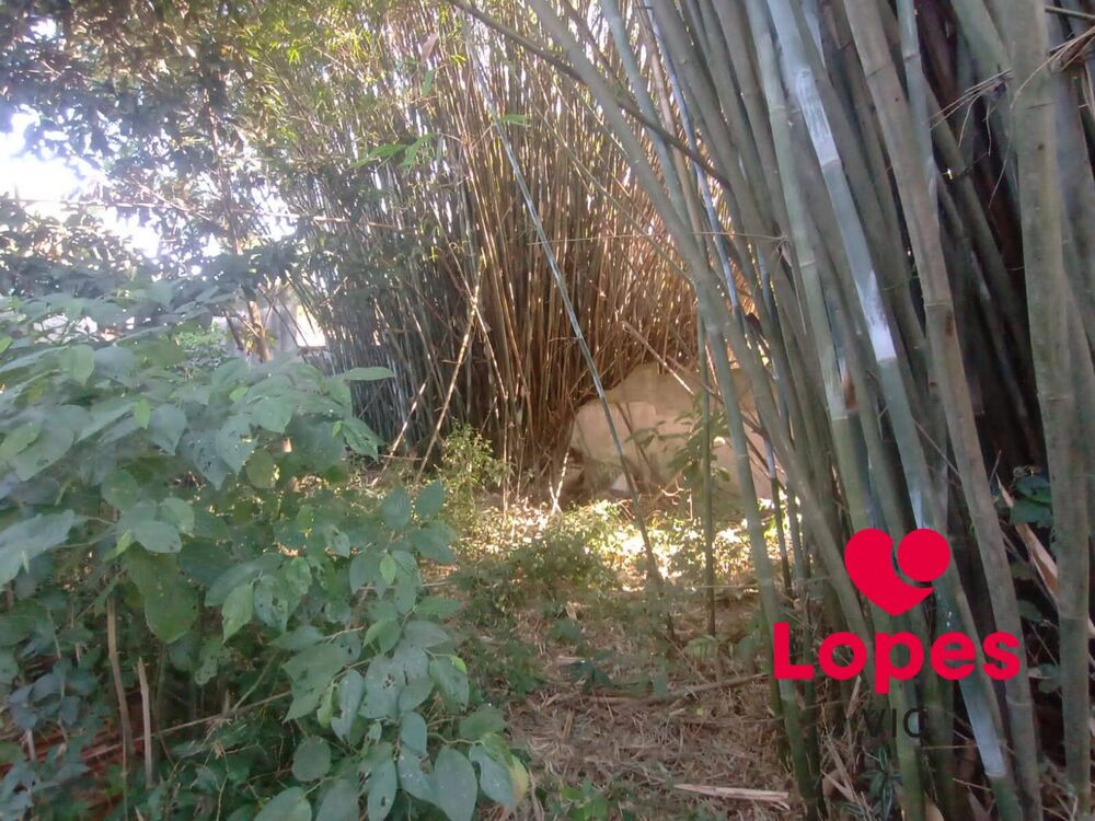 Terreno, 1000 m² - Foto 4