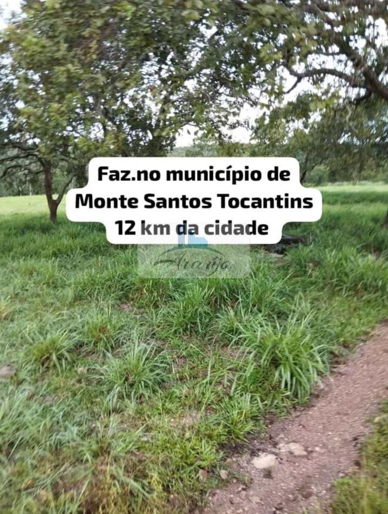 Fazenda à venda com 1 quarto, 38m² - Foto 1