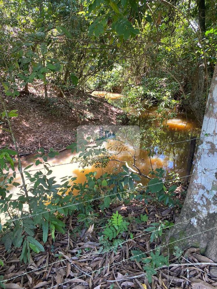 Fazenda à venda com 2 quartos, 193600m² - Foto 4