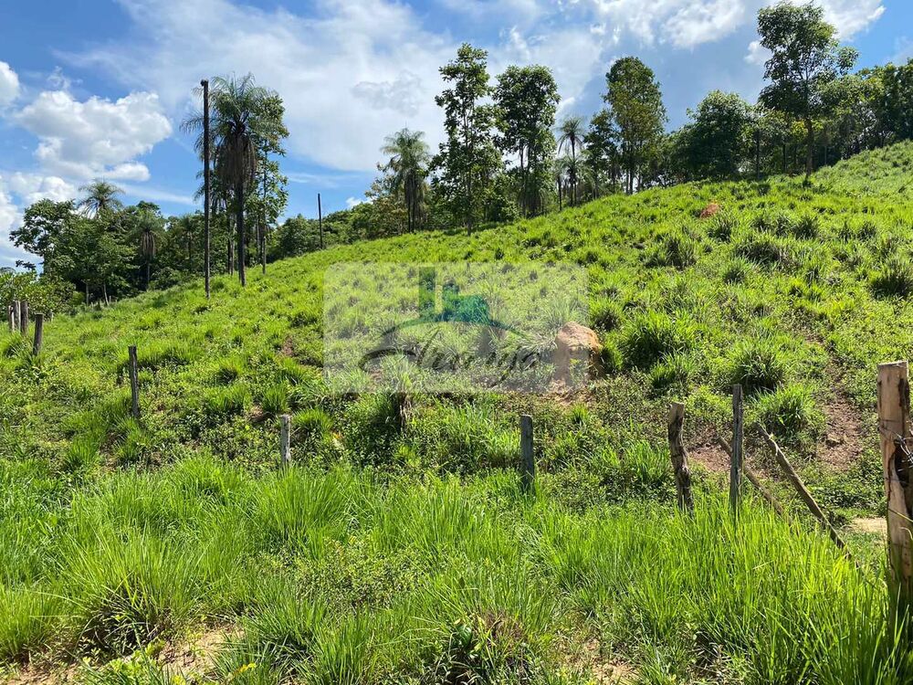 Fazenda à venda com 2 quartos, 193600m² - Foto 1
