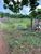 Chácara, 3 hectares - Foto 1