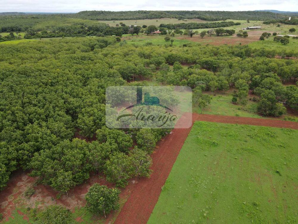 Fazenda à venda com 2 quartos, 660m² - Foto 3