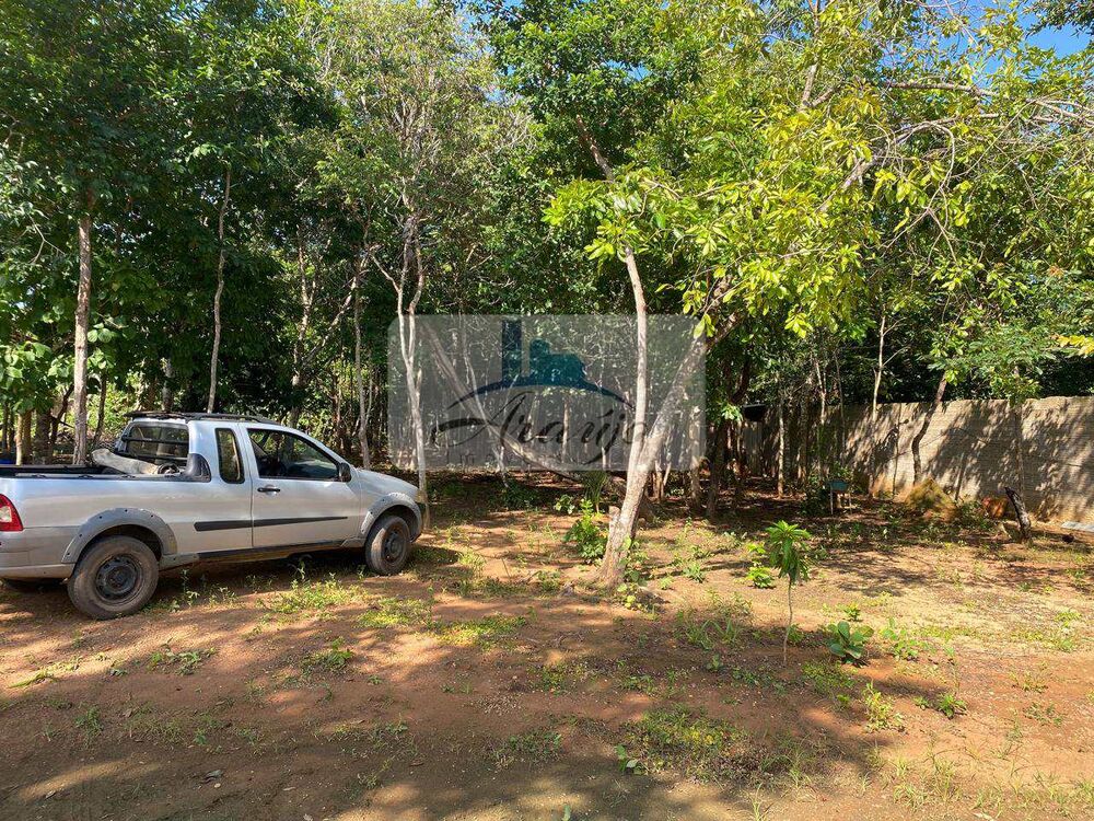 Chácara à venda com 3 quartos, 5000m² - Foto 3
