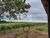 Fazenda-Sítio-Chácara, 93 m² - Foto 1