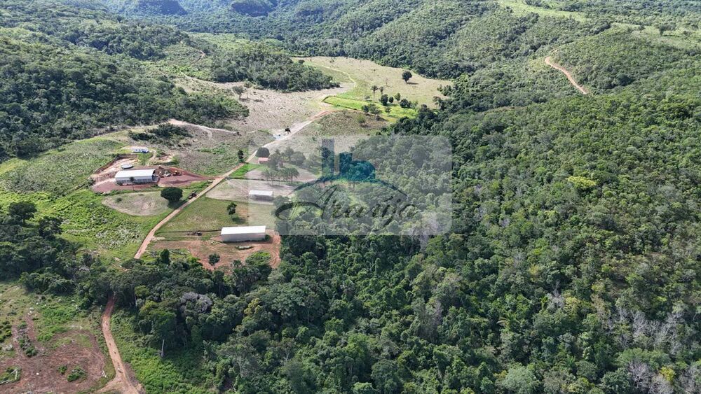 Fazenda à venda com 9 quartos, 325m² - Foto 8