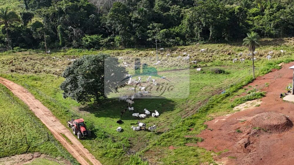 Fazenda à venda com 9 quartos, 325m² - Foto 5